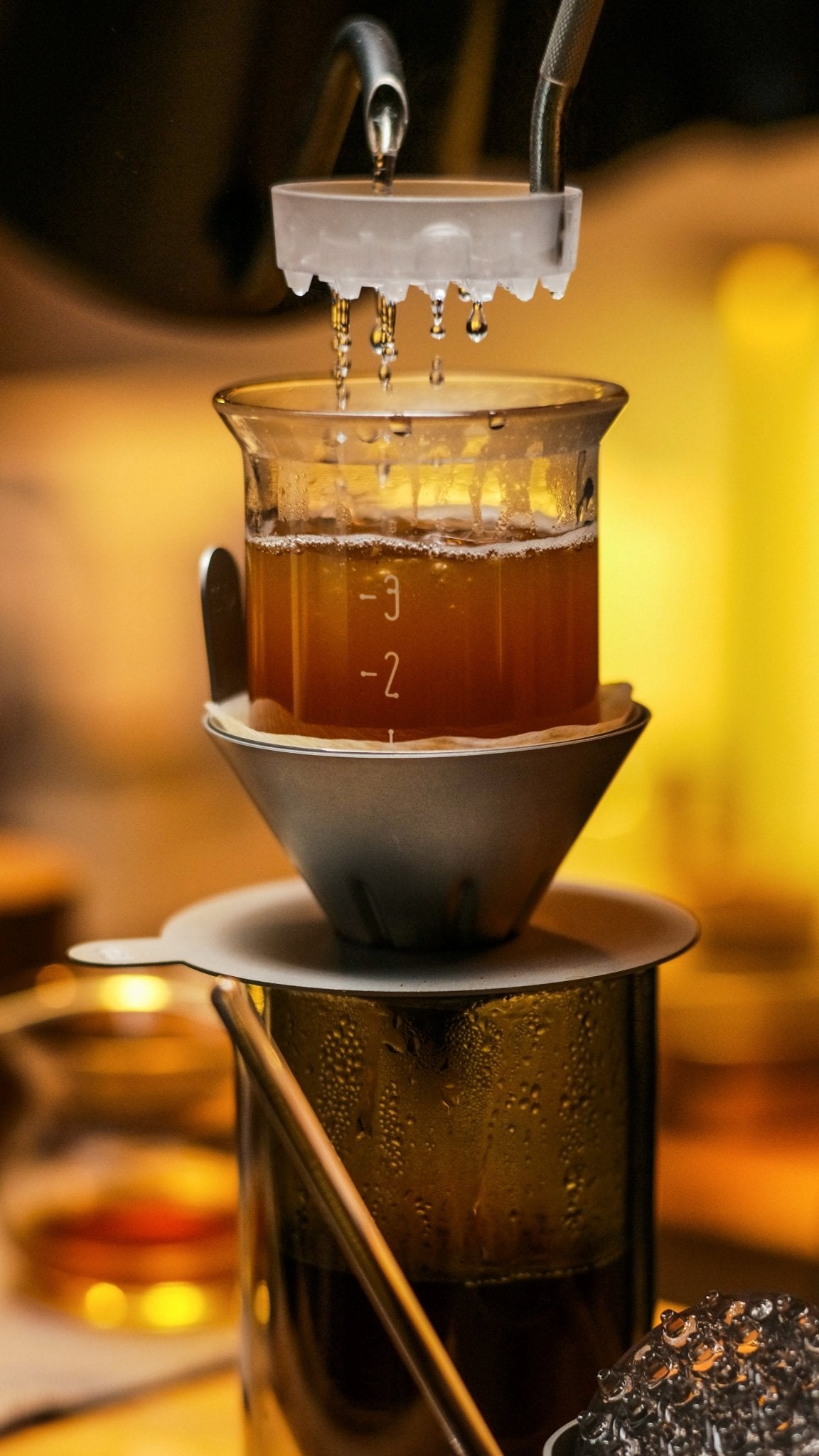 COLUM Mini Dripper + Filter Pack | Stainless Steel Glass Coffee Brewer | FREE SHIPPING USA - melodrip co.