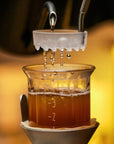 COLUM Mini Dripper + Filter Pack | Stainless Steel Glass Coffee Brewer | FREE SHIPPING USA - melodrip co.