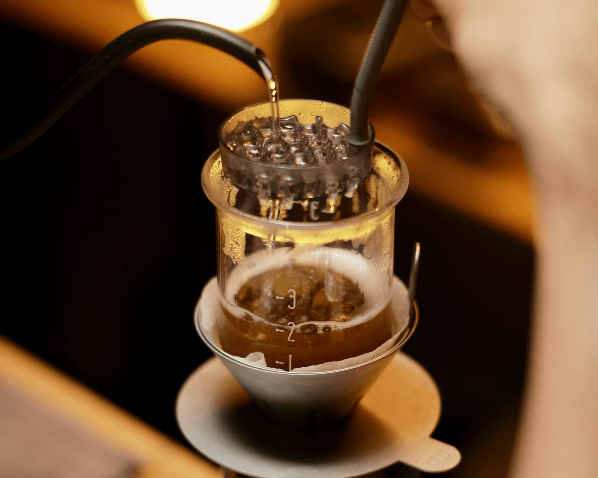 COLUM Mini Dripper + Filter Pack | Stainless Steel Glass Coffee Brewer | FREE SHIPPING USA - melodrip co.